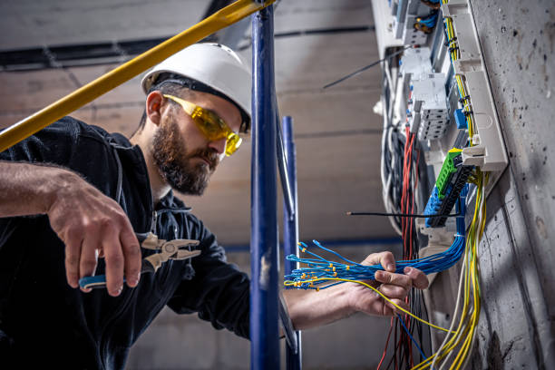 Best Home Electrical Repair  in Madison Lake, MN