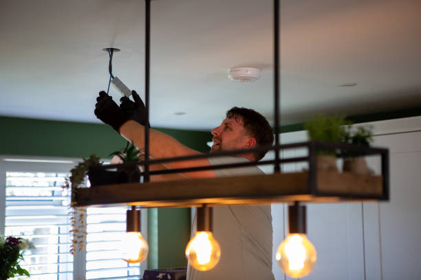 Best Electrician for Home Renovation  in Madison Lake, MN