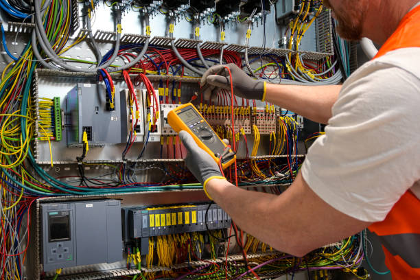 Best Electric Panel Repair  in Madison Lake, MN
