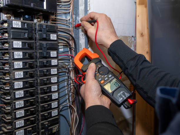 Best Electrical System Inspection  in Madison Lake, MN