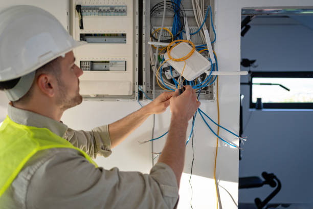 Best Electrical Upgrades for Homes  in Madison Lake, MN