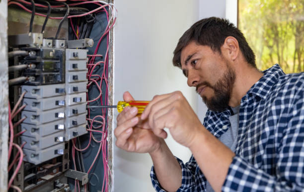 Best Electrical Troubleshooting Services  in Madison Lake, MN